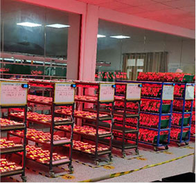 Factory actual photographs