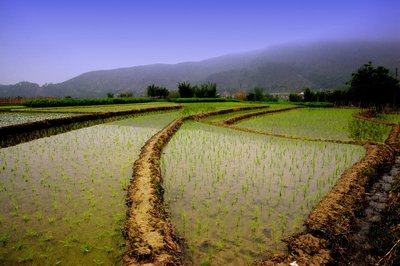 黑龙江：大力推进北斗科技春播